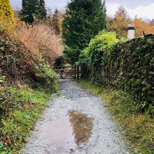 46067676_10156960347668447_1765096756812447744_o