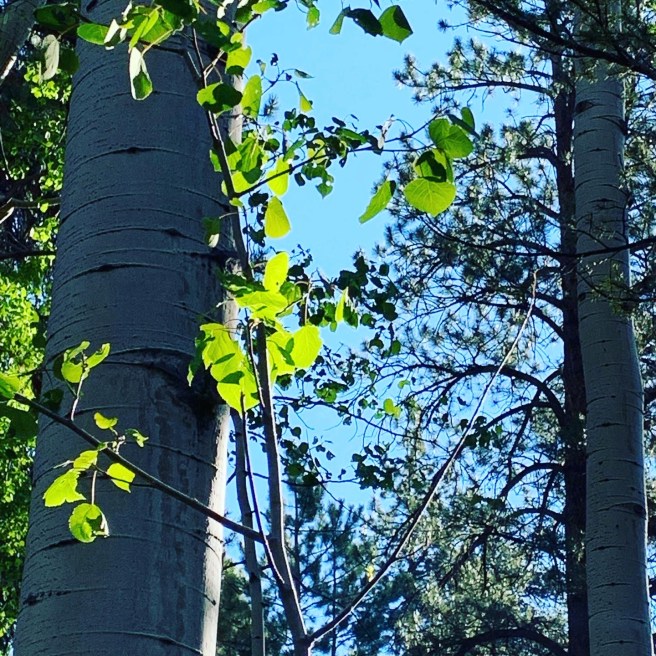 3324D5B3-B4F8-4D11-A02B-88890C0B1547